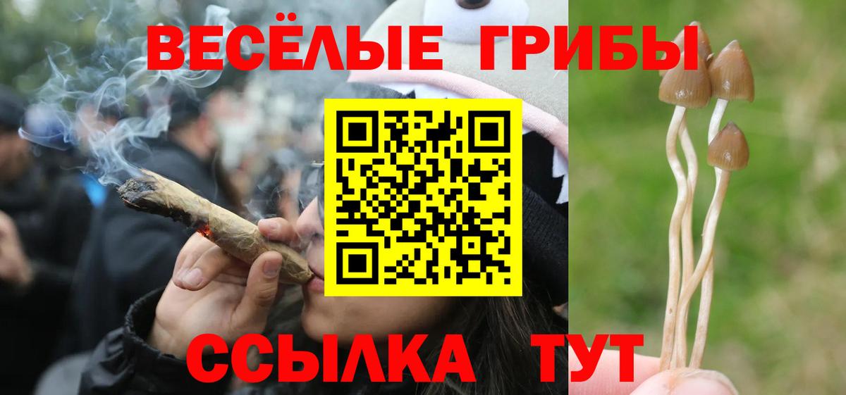 Реж  Псилоцибиновые грибы Magic Shrooms  Вход с VPN  Галлюциногенные грибы мухоморы 